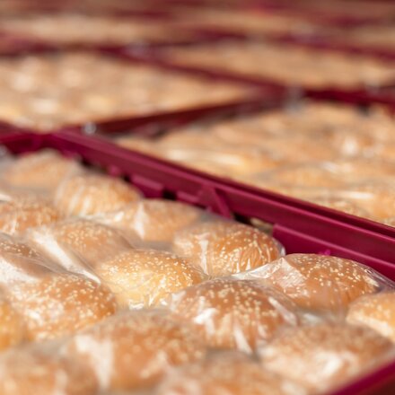 Die Nummer Eins für Kleinbrote Bun im Gitter