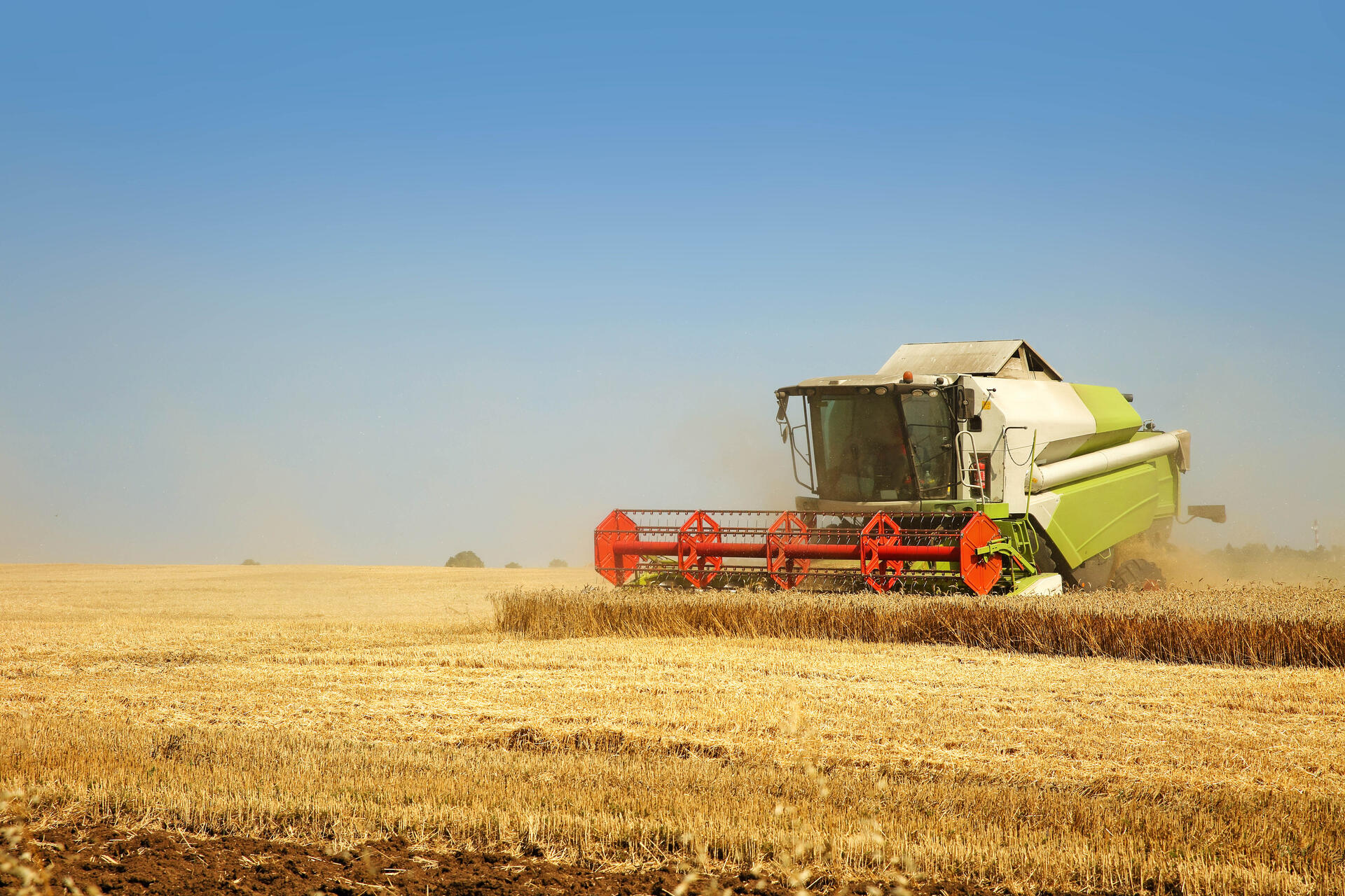 Claas combine harvester in the wheat field