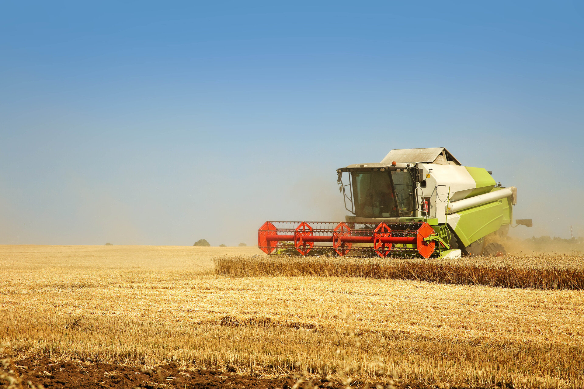 Claas-Mähdrescher im Weizenfeld