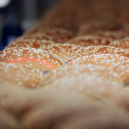 the seeding fits buns get controlled