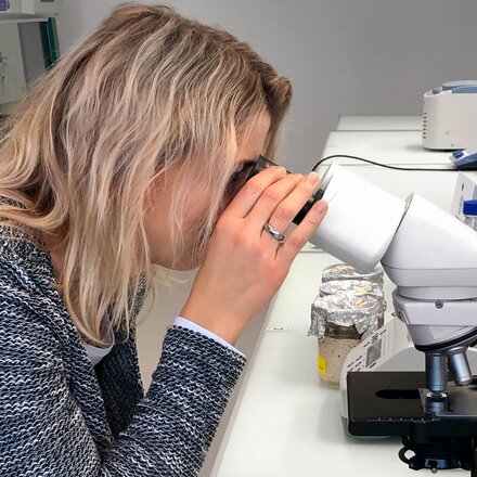 Examens au microscope 