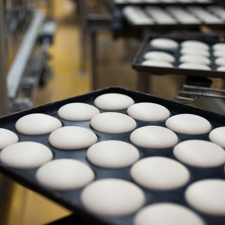 industrial baking at its best buns on the way to the oven